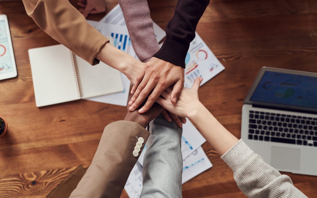 Introducing the HPE OHT Declaration of Values